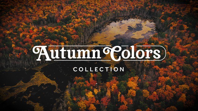 Autumn Colors Collection