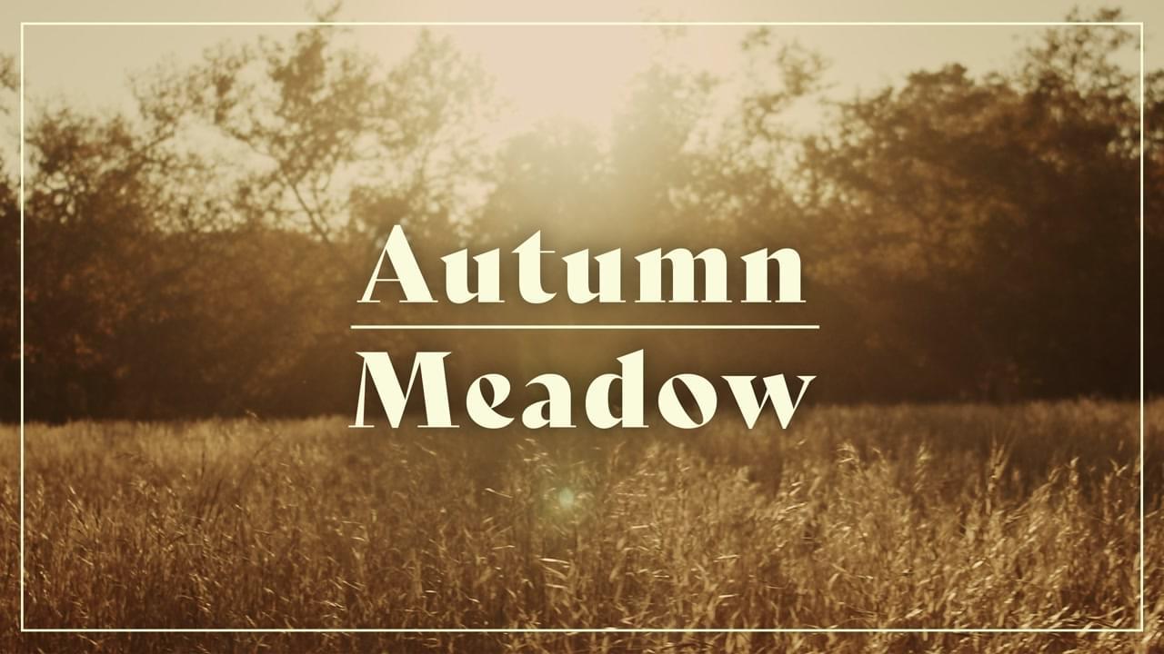 Autumn Meadow