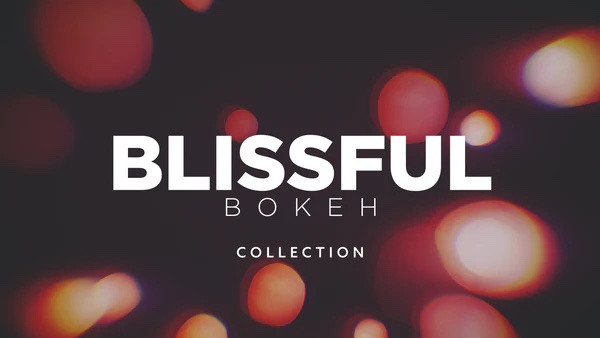 Blissful Bokeh Collection