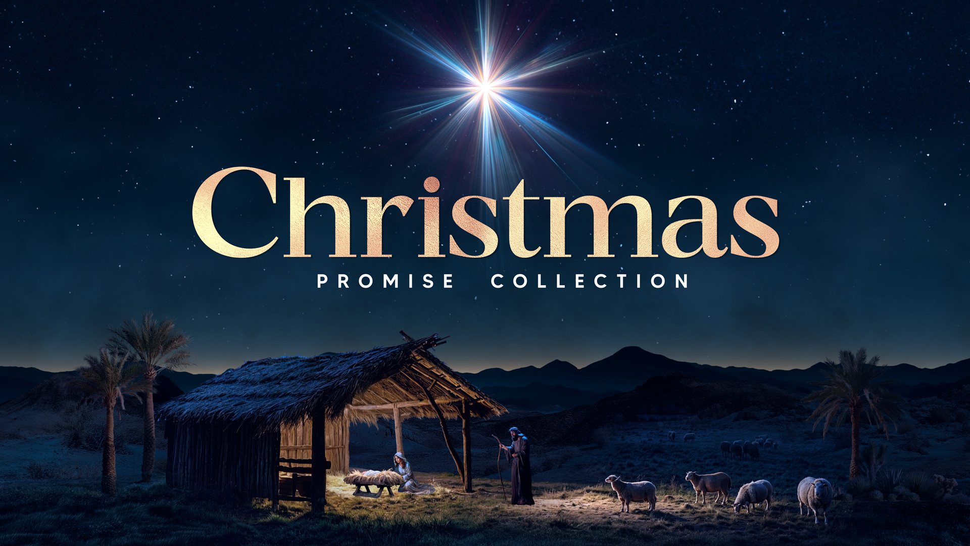 Christmas Promise Collection