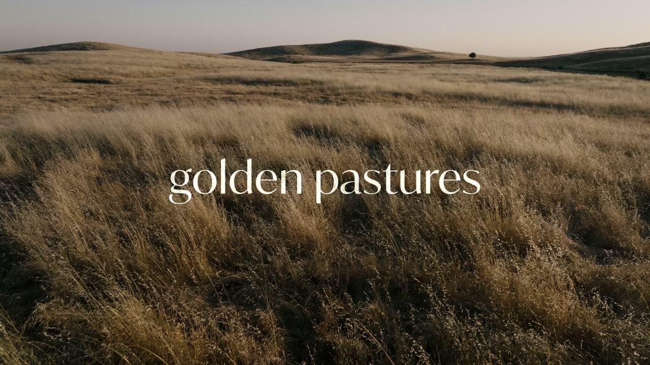 Golden Pastures