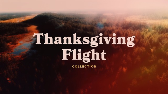Thanksgiving Flight Collection