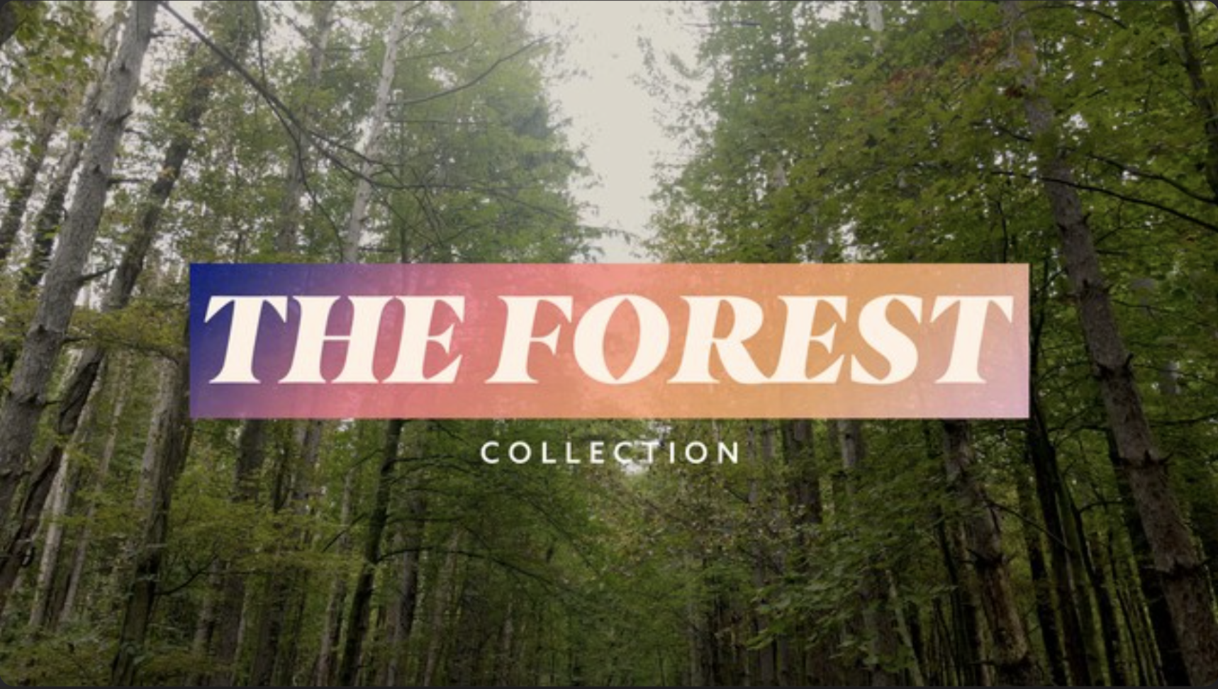 The Forest Collection