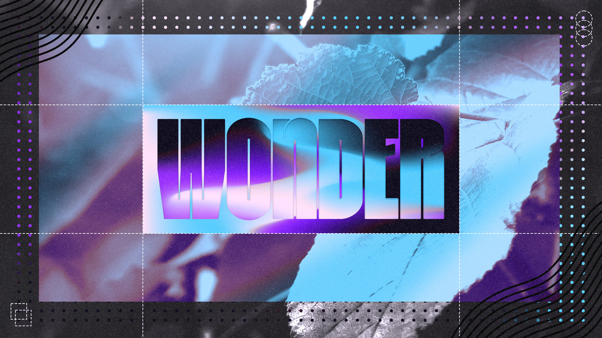 Wonder