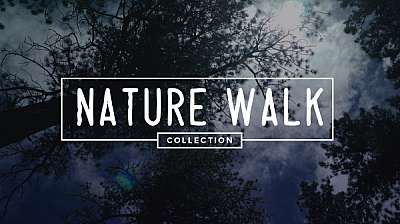 Nature Walk Collection