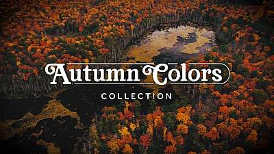Autumn Colors Collection