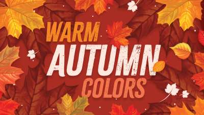 Warm Autumn Colors