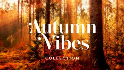 Autumn Vibes Collection