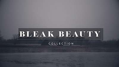 Bleak Beauty Collection