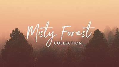 Misty Forest Collection