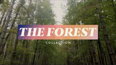 The Forest Collection