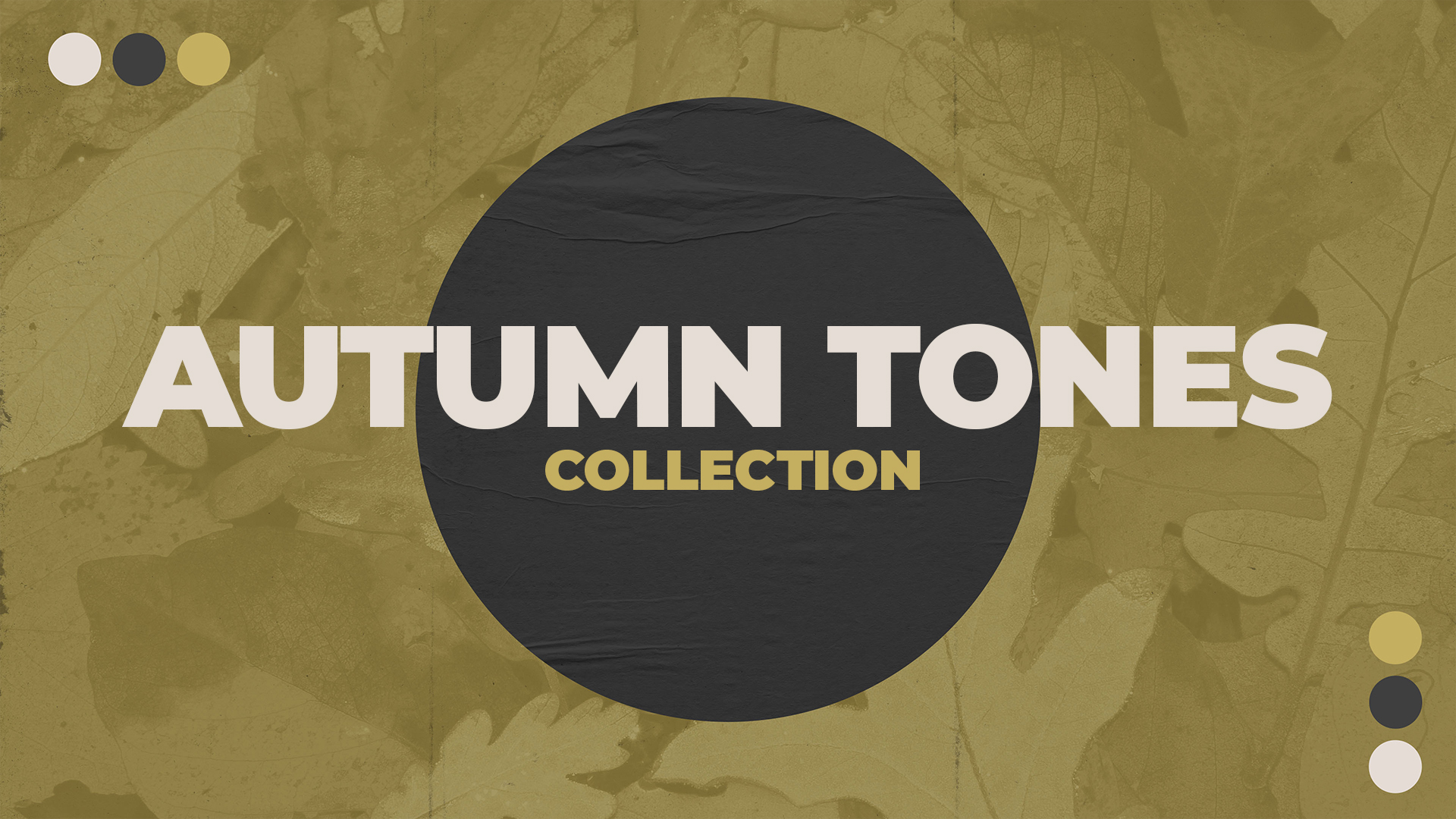 Autumn Tones Collection