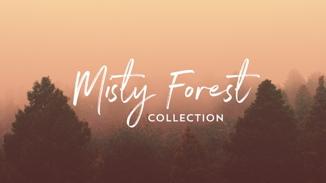 Misty Forest Collection