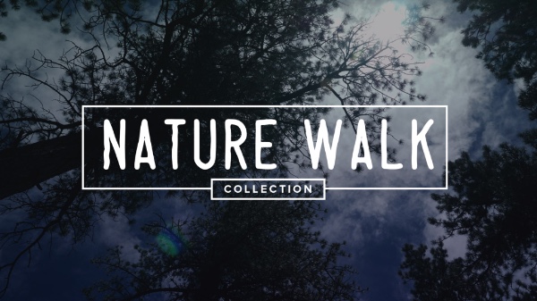 Nature Walk Collection